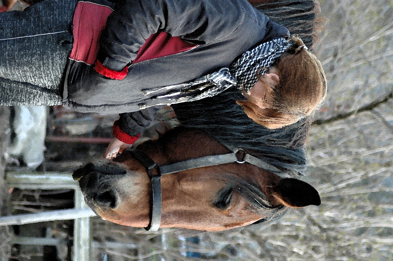 DSC_1158.jpg