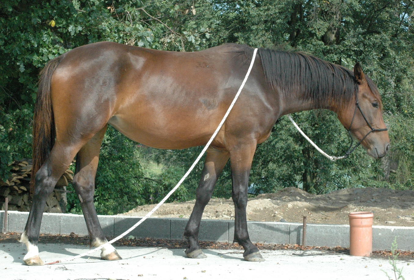 DSC_2662.JPG