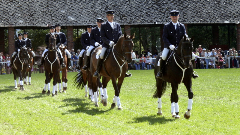 chovat-den-0708-5.jpg