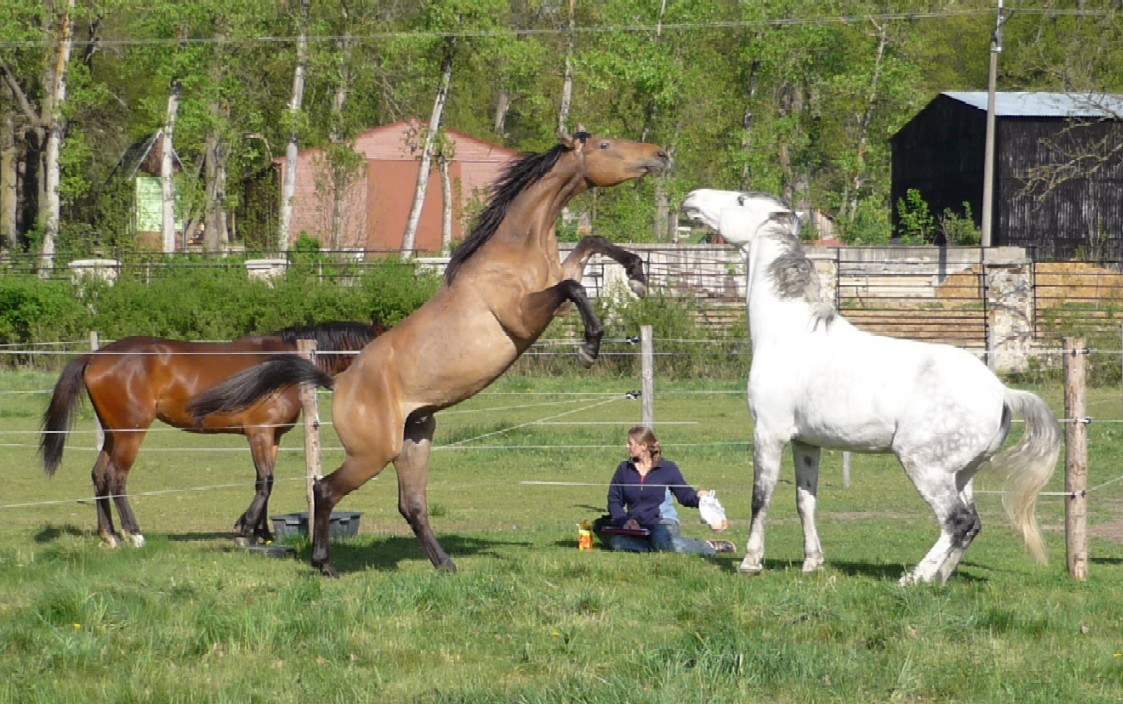 P1000394.JPG