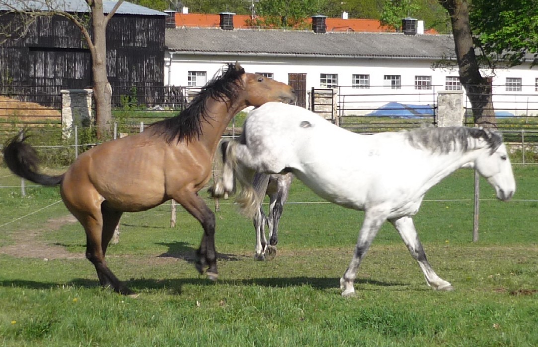 P1000395.JPG